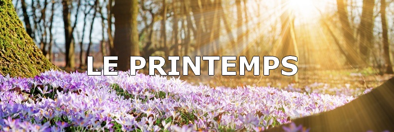 image nature, paysage printanier