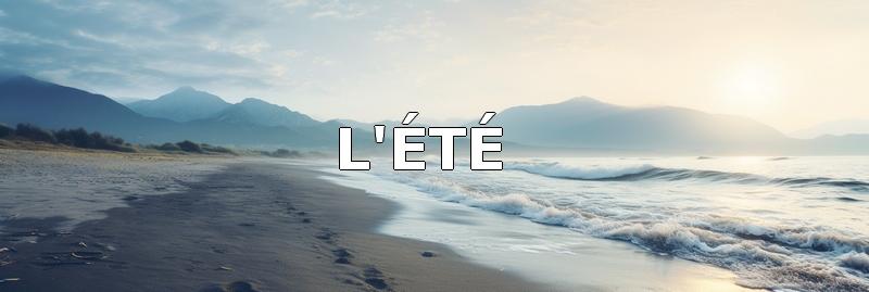 paysage estival, plage et met