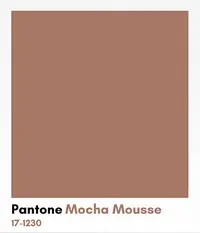 un carré de couleur mocha mousse