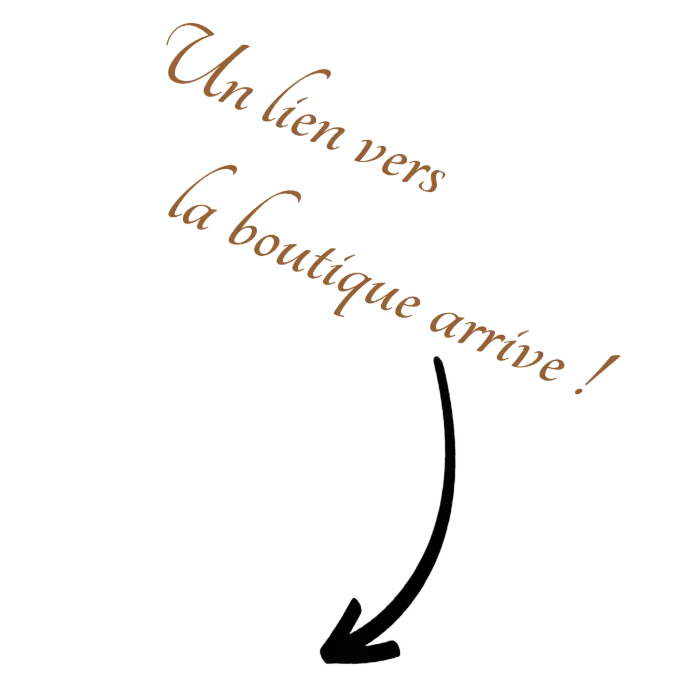 Un texte avec une flêche indiquant la direction vers un bouton "boutique".