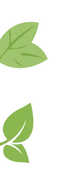 Des illustrations de feuilles vertes pour représenter le côté "éco-responsable" du texte associé.